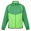 Field Green-Jasmine Green - Front - Regatta Mens Steren Hybrid Soft Shell Jacket