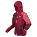 Burgundy-Rumba Red - Side - Regatta Womens-Ladies Trutton II Baffled Hooded Jacket