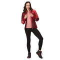 Burgundy-Rumba Red - Lifestyle - Regatta Womens-Ladies Trutton II Baffled Hooded Jacket