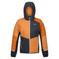 Apricot Crush-Seal Grey - Front - Regatta Womens-Ladies Trutton II Baffled Hooded Jacket