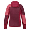 Burgundy-Rumba Red - Back - Regatta Womens-Ladies Trutton II Baffled Hooded Jacket