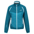 Gulfstream - Front - Regatta Womens-Ladies Steren Hybrid Jacket