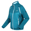 Gulfstream - Side - Regatta Womens-Ladies Steren Hybrid Jacket