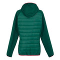 Rainforest - Back - Regatta Womens-Ladies Andreson VIII Hybrid Jacket