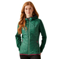 Rainforest - Lifestyle - Regatta Womens-Ladies Andreson VIII Hybrid Jacket