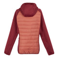 Mineral Red-Rumba Red - Back - Regatta Womens-Ladies Andreson VIII Hybrid Jacket