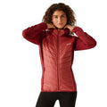 Mineral Red-Rumba Red - Lifestyle - Regatta Womens-Ladies Andreson VIII Hybrid Jacket