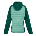 Dusty Green-Rainforest - Back - Regatta Womens-Ladies Andreson VIII Hybrid Jacket