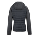 Seal Grey-Oyster Mushroom - Back - Regatta Womens-Ladies Andreson VIII Hybrid Jacket