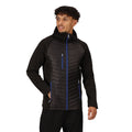 Black-New Royal - Side - Regatta Mens Navigate Quilted Hybrid Jacket