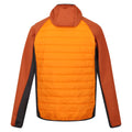 Orange Pepper-Burnt Copper - Back - Regatta Mens Andreson VIII Hybrid Jacket