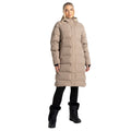 Clay - Pack Shot - Dare 2B Womens-Ladies Wander Padded Jacket