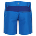 Oxford Blue-New Royal - Back - Regatta Childrens-Kids Sorcer Mountain III Shorts