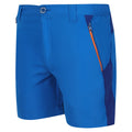 Oxford Blue-New Royal - Side - Regatta Childrens-Kids Sorcer Mountain III Shorts