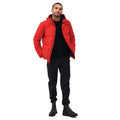 Danger Red - Pack Shot - Regatta Mens Falkner Padded Jacket