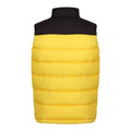 Solar-Black - Back - Regatta Mens Vintage Colour Block Gilet