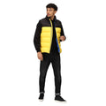 Solar-Black - Lifestyle - Regatta Mens Vintage Colour Block Gilet