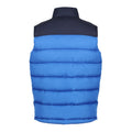 Strong Blue-Navy - Back - Regatta Mens Vintage Colour Block Gilet