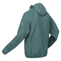 Ivy Moss-Sea Pine - Side - Regatta Mens Highton Lite Hybrid Hooded Soft Shell Jacket