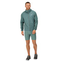 Ivy Moss-Sea Pine - Pack Shot - Regatta Mens Highton Lite Hybrid Hooded Soft Shell Jacket