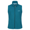 Gulfstream - Front - Regatta Great Outdoors Womens-Ladies Outdoor Classics Sweetness II Bodywarmer