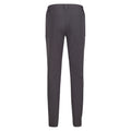 Ash - Back - Regatta Mens Kennick Stretch Hiking Trousers