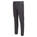 Ash - Side - Regatta Mens Kennick Stretch Hiking Trousers