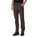 Ash - Pack Shot - Regatta Mens Kennick Stretch Hiking Trousers