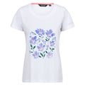 White - Front - Regatta Womens-Ladies Filandra VIII Floral T-Shirt