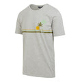 Silver Grey - Side - Regatta Mens Cline VIII Sunset Marl T-Shirt