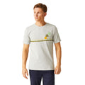 Silver Grey - Lifestyle - Regatta Mens Cline VIII Sunset Marl T-Shirt