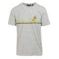 Silver Grey - Front - Regatta Mens Cline VIII Sunset Marl T-Shirt