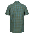 Piquant Green-Moroccan Blue - Back - Regatta Mens Kalambo VIII Checked Shirt