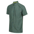 Piquant Green-Moroccan Blue - Side - Regatta Mens Kalambo VIII Checked Shirt