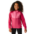 Pink Potion-Flamingo Pink - Lifestyle - Regatta Childrens-Kids Kielder VIII Hybrid Jacket