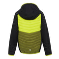 Black-Citron Lime - Back - Regatta Childrens-Kids Kielder VIII Hybrid Jacket