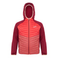 Rumba Red-Red Sky - Front - Regatta Childrens-Kids Kielder VIII Hybrid Jacket