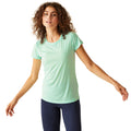 Bleached Aqua - Lifestyle - Regatta Womens-Ladies Fingal Edition Plain T-Shirt