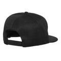 Black - Back - Beastie Boys Unisex Adult Diamond Logo Cap