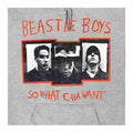 Grey - Back - Beastie Boys Unisex Adult So What Cha Want Pullover Hoodie