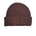 Espresso Brown - Back - Hayley Williams Unisex Adult Petals For Armor Beanie