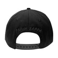 Black - Back - Frank Zappa Unisex Adult Moustache Baseball Cap