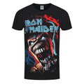 Black - Front - Iron Maiden Unisex Adult Wildest Dream Vortex T-Shirt