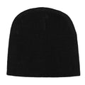 Black - Back - Alice Cooper Unisex Adult Logo Beanie