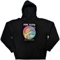 Black - Front - Pink Floyd Unisex Adult Wish You Were Here Circle Hoodie