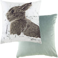 White-Brown-Powder Blue - Back - Evans Lichfield Photo Hare Cushion Cover