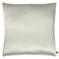 Feather - Front - Evans Lichfield Opulence Velveteen Cushion Cover