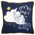Blue - Front - Peter Rabbit Sleepy Head Cushion Cover