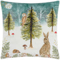 Teal - Front - Evans Lichfield Velvet Owl Christmas Cushion Cover