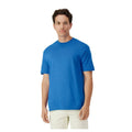 Royal Blue - Back - Gildan Mens Plain Lightweight T-Shirt